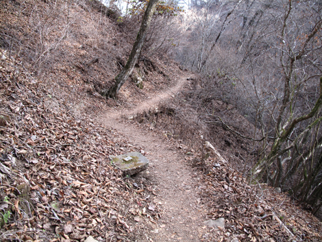 20171128hike (188)